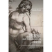 The 'Catalan Hermaphrodite' and the Inquisition: Early Modern Sex and Gender on Trial
