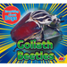 Goliath Beetles
