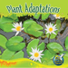 Plant Adaptations