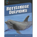 Bottlenose Dolphins