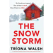The Snowstorm: An absolutely gripping, pulse-pounding thriller packed with twists