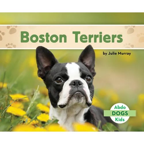 Boston Terriers