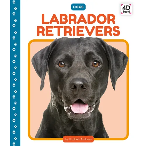 Labrador Retrievers