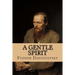 A Gentle Spirit: A Fantastic Story