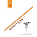 Ancient Rome 2nd Edition Teacher's Guide: Questions for the Thinker Study Guide Series