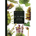 Mosses, Liverworts, and Hornworts of the World: A Guide to Every Order