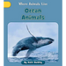 Ocean Animals