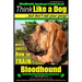 Bloodhound, Bloodhound Training AAA AKC: Think Like a Dog, but Don't Eat Your Poop! Bloodhound Breed Expert Training: Here's EXACTLY How to Train Your