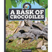 A Bask of Crocodiles