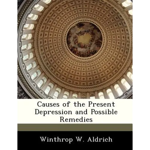Causes of the Present Depression and Possible Remedies