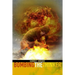 Bombing the Thinker
