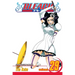 Bleach, Vol. 29