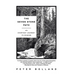 The Seven Stone Path: An Everyday Journey to Wisdom