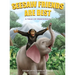 Seesaw Friends Are Best: A Tale Of Friendship