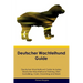 Deutscher Wachtelhund Guide Deutscher Wachtelhund Guide Includes: Deutscher Wachtelhund Training, Diet, Socializing, Care, Grooming, and More