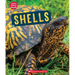 Shells (Learn About: Animal Coverings)