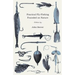 Practical Fly-Fishing Founded on Nature