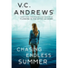 Chasing Endless Summer