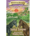 Windsor Heights Book 3: Moon and Midnight