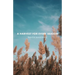 A Harvest for Every Season