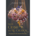From Crash to Re-Creation: Navigating Life with a Traumatic Brain Injury