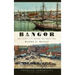 Remembering Bangor: The Queen City Before the Great Fire