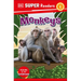 DK Super Readers Level 1 Monkeys