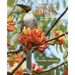 Encounters with Australian Birds: Finding Inspirations from Australia's Amazing Birdlife