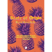 State of Origin