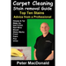 Carpet Cleaning Stain Removal Guide: Top Ten Stains, Advice From a Professional