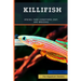 Killifish: Species, Tank Conditions, Diet, and Breeding