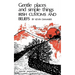 Gentle Places and Simple Things: Irish Customs and Beliefs