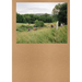 Widening the Lens: Photography, Ecology, and the Contemporary Landscape