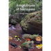 Amphibians of Suriname