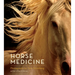 Horse Medicine