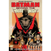 Batman: Beyond the White Knight