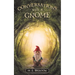 Conversations with a Gnome