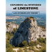 Exploring the Mysteries of Limestone with Hydroplate Theory
