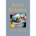 Past Echoes