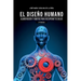 El diseño humano: Alimentación y hábitos para recuperar tu salud