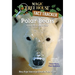Polar Bears and the Arctic: A Nonfiction Companion to Magic Tree House #12: Polar Bears Past Bedtime