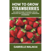 How to grow strawberries: The Complete Guide to Growing, Fertilize, Harvesting and Storing Healthy, Homegrown Strawberries