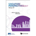 Singapore Perspectives 2017: What If?