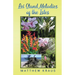 Lei Stand Melodies of the Isles