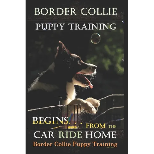 Border Collie Puppy Training Begins. . . From the Car Ride Home: Border Collie Puppy Training