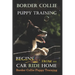 Border Collie Puppy Training Begins. . . From the Car Ride Home: Border Collie Puppy Training