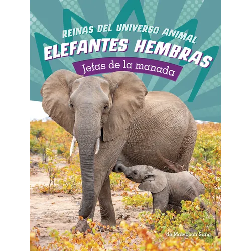 Elefantes Hembras: Jefas de la Manada