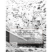 Lode Mining in the Alleghany District of Sierra County California