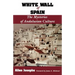 White Wall of Spain: The Mysteries of Andalusian Culture