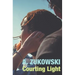 Courting Light